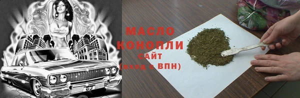 гидра Вяземский