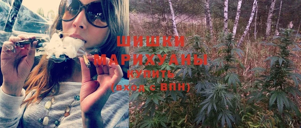 гидра Вяземский