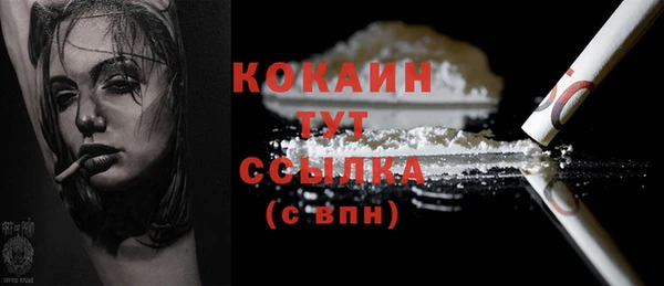 гидра Вяземский