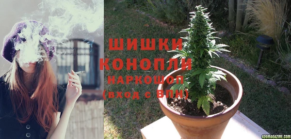 гидра Волосово