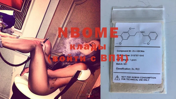 гидра Вяземский