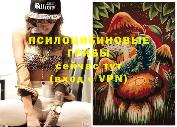 гидра Вяземский
