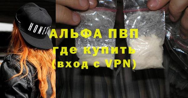 ГАЛЛЮЦИНОГЕННЫЕ ГРИБЫ Вязники