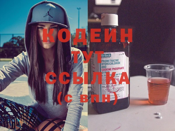 гидра Вяземский