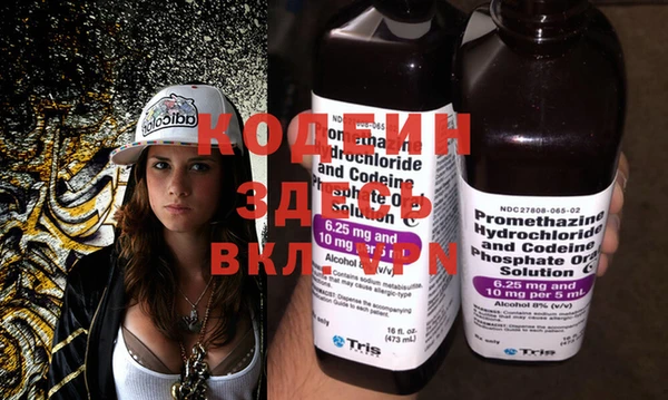 гидра Вяземский