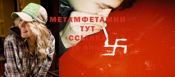 гидра Вяземский